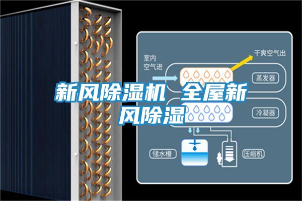 新风除湿机 全屋新风除湿