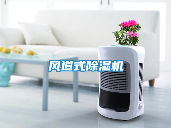 风道式除湿机