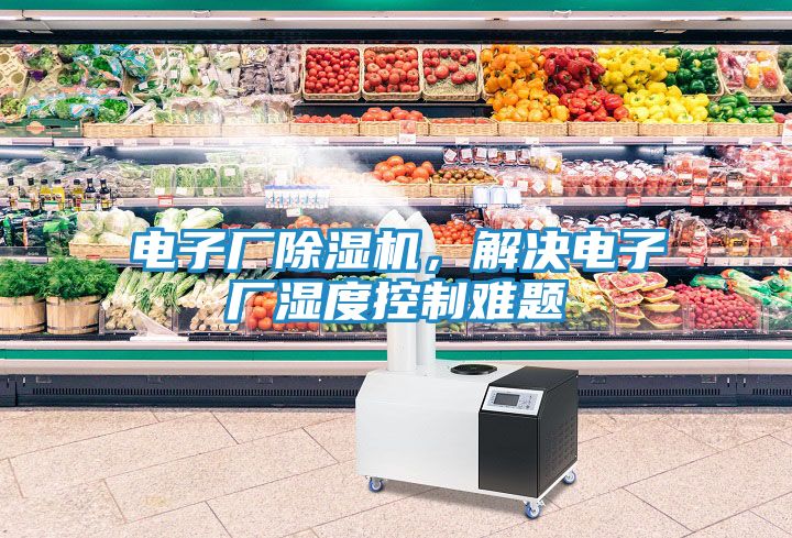 电子厂除湿机，解决电子厂湿度控制难题