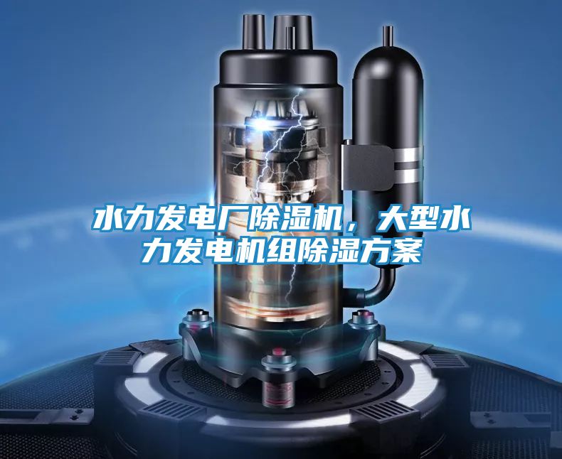 水力发电厂除湿机，大型水力发电机组除湿方案
