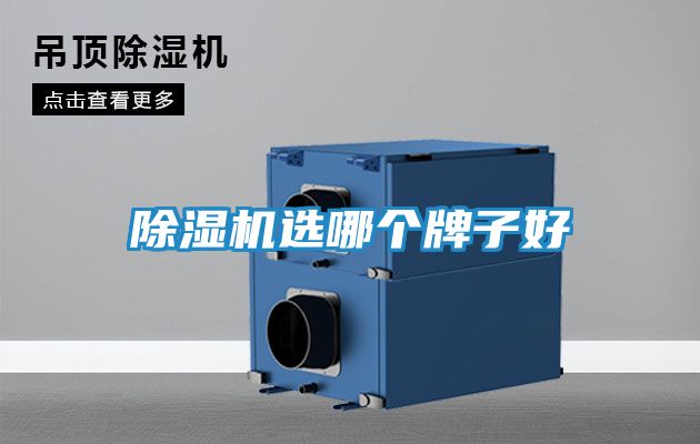 除湿机选哪个牌子好