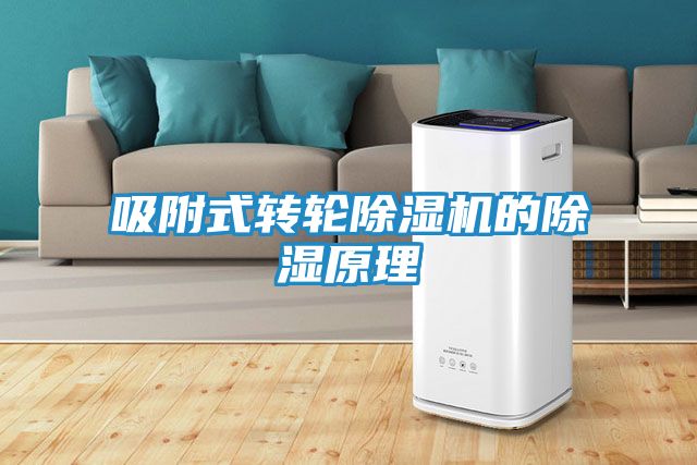 吸附式转轮除湿机的除湿原理