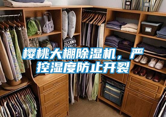 樱桃大棚除湿机，严控湿度防止开裂