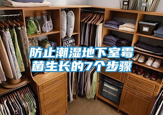 防止潮湿地下室霉菌生长的7个步骤