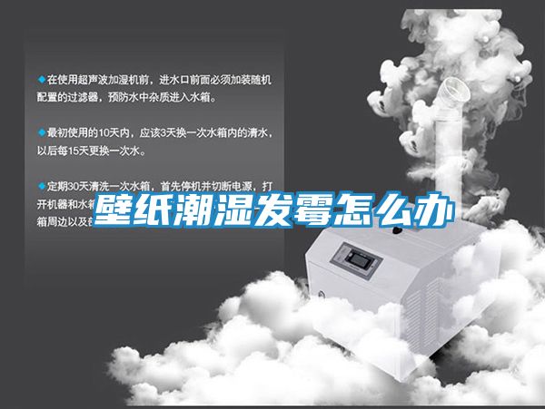 壁纸潮湿发霉怎么办