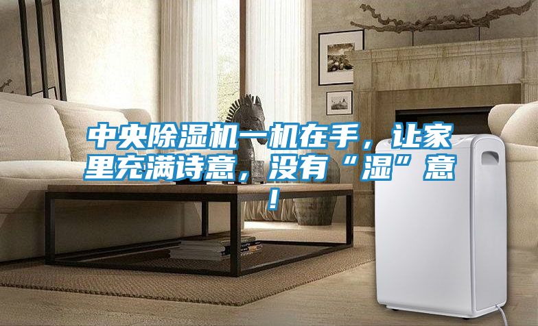 中央除湿机一机在手，让家里充满诗意，没有“湿”意！