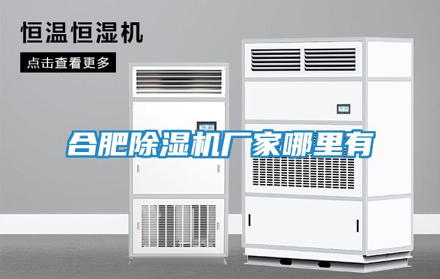 合肥除湿机厂家哪里有