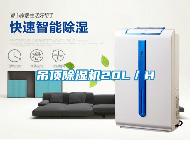 吊顶除湿机20L／H