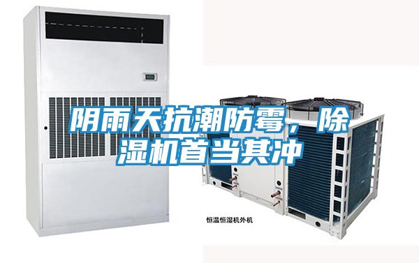阴雨天抗潮防霉,除湿机首当其冲