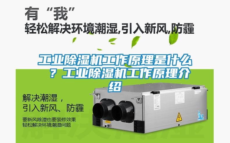 工业除湿机工作原理是什么 ？工业除湿机工作原理介绍