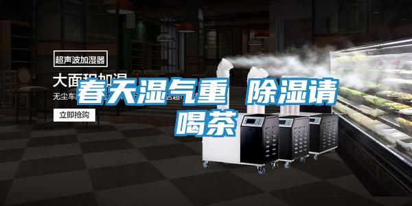 春天湿气重 除湿请喝茶
