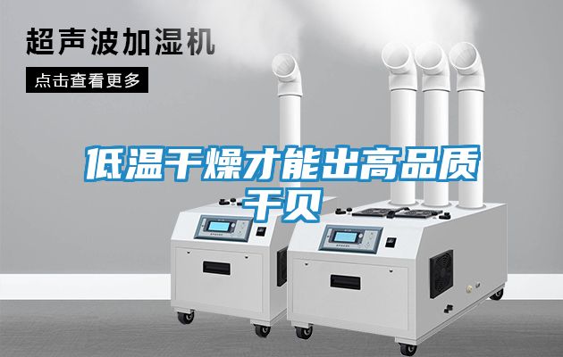 低温干燥才能出高品质干贝