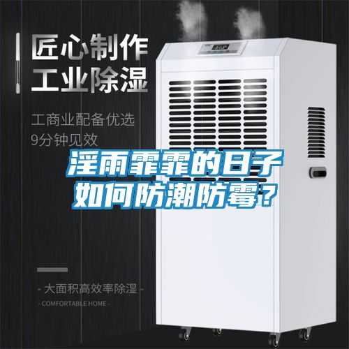 淫雨霏霏的日子如何防潮防霉？