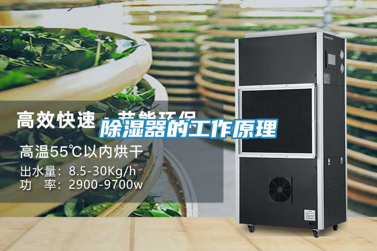 除湿器的工作原理