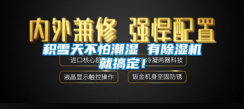 积雪天不怕潮湿 有除湿机就搞定！