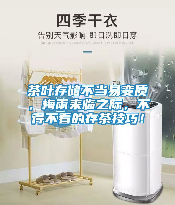 茶叶存储不当易变质,梅雨来临之际,不得不看的存茶技巧!