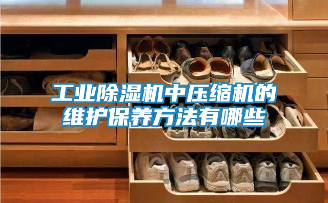 工业除湿机中压缩机的维护保养方法有哪些
