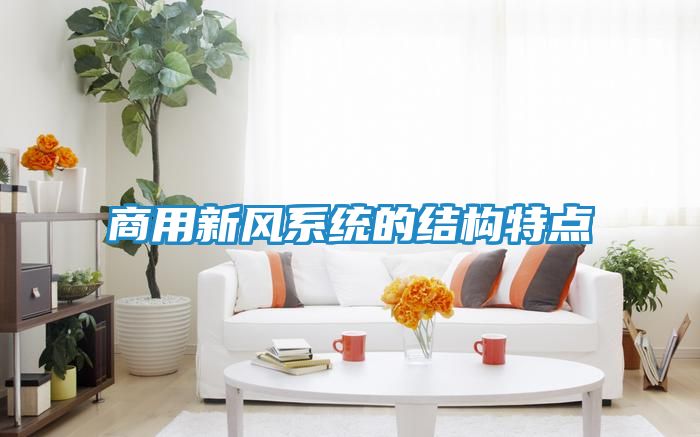 商用新风系统的结构特点