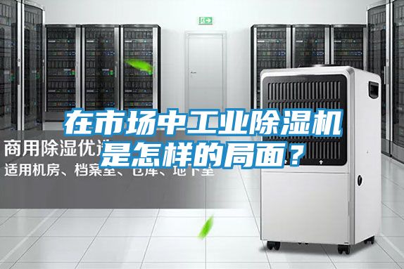 在市场中工业除湿机是怎样的局面？