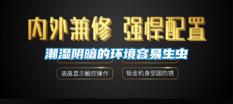 潮湿阴暗的环境容易生虫