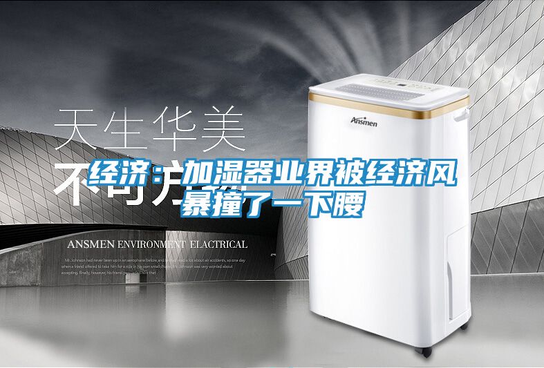 经济:加湿器业界被经济风暴撞了一下腰