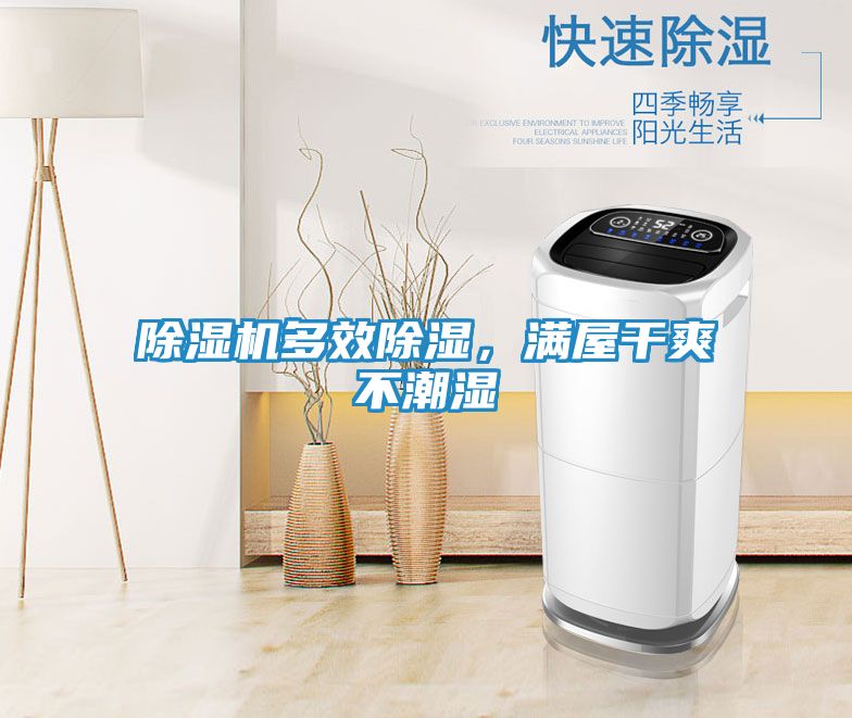除湿机多效除湿,满屋干爽不潮湿