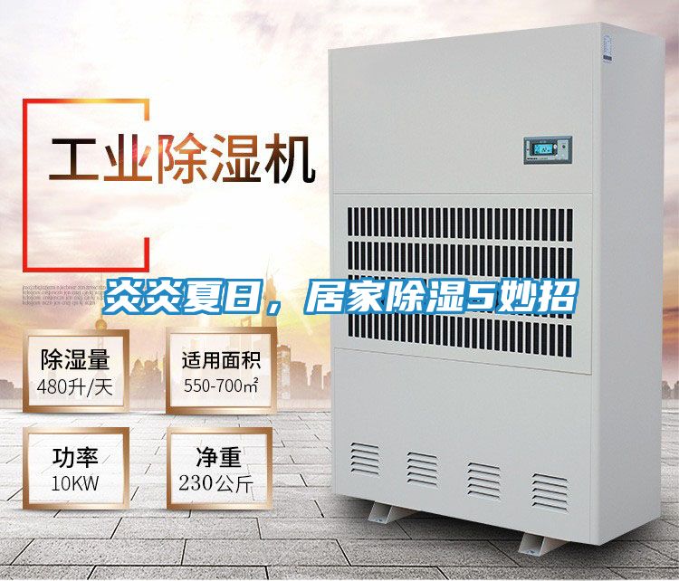 炎炎夏日，居家除湿5妙招