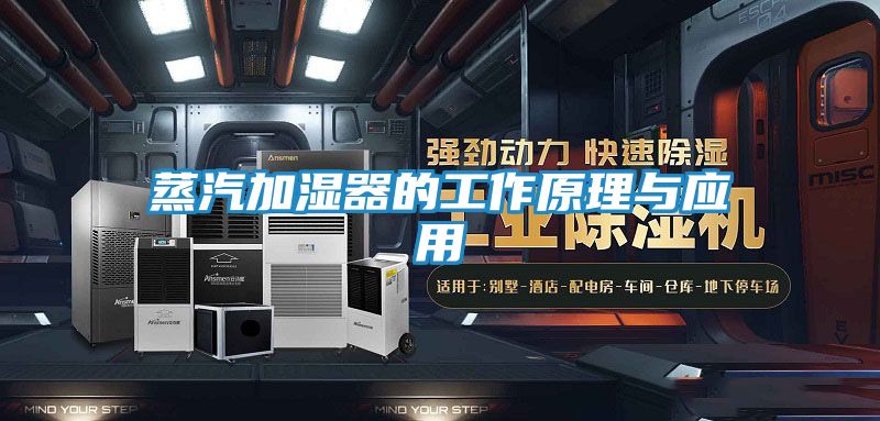 蒸汽加湿器的工作原理与应用