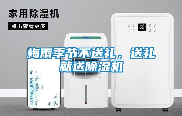 梅雨季节不送礼,送礼就送除湿机