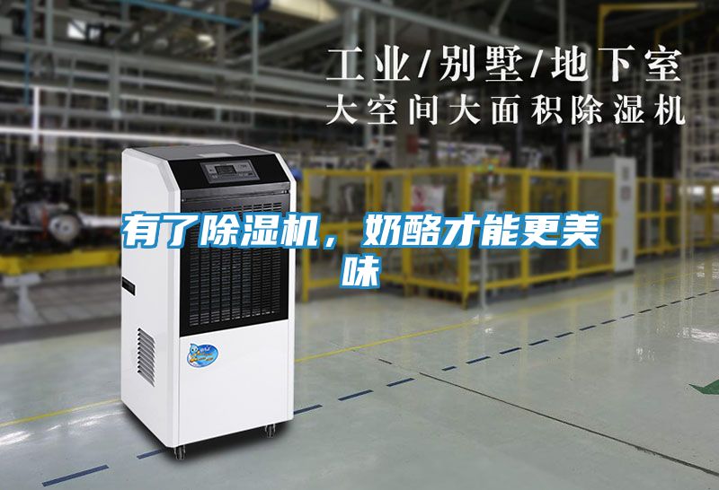 有了除湿机，奶酪才能更美味