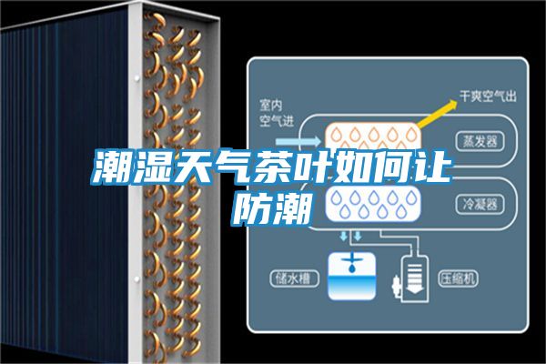 潮湿天气茶叶如何让防潮