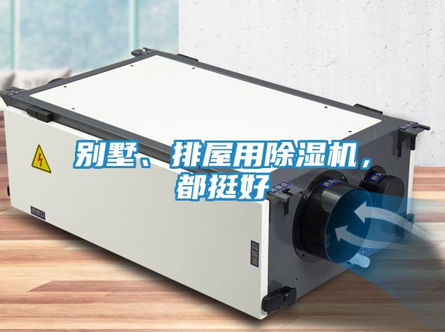 别墅、排屋用除湿机，都挺好