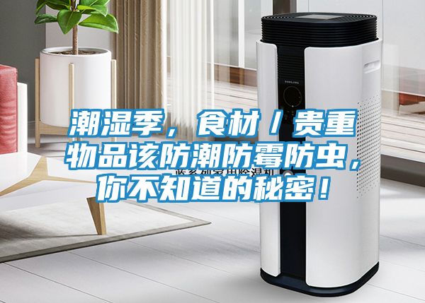 潮湿季，食材／贵重物品该防潮防霉防虫，你不知道的秘密！
