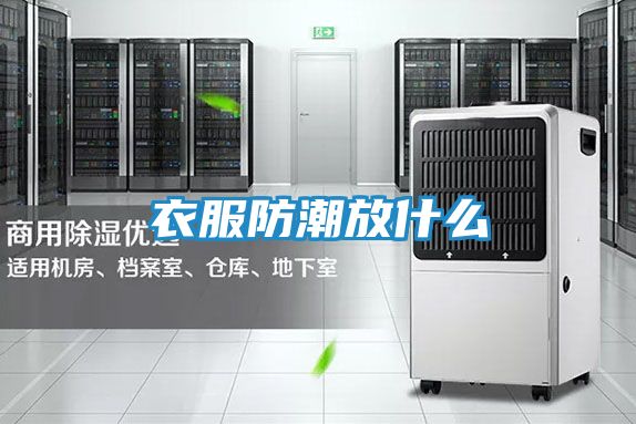 衣服防潮放什么