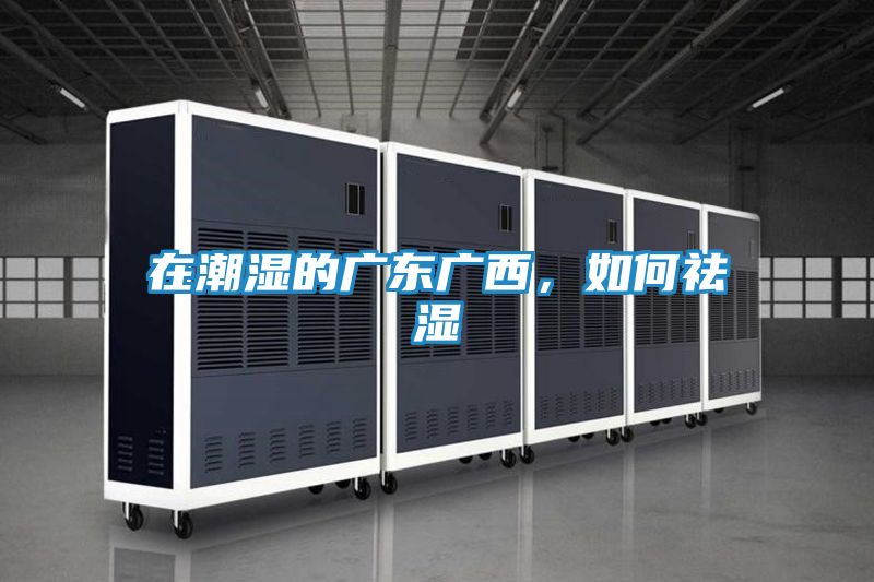 在潮湿的广东广西,如何祛湿