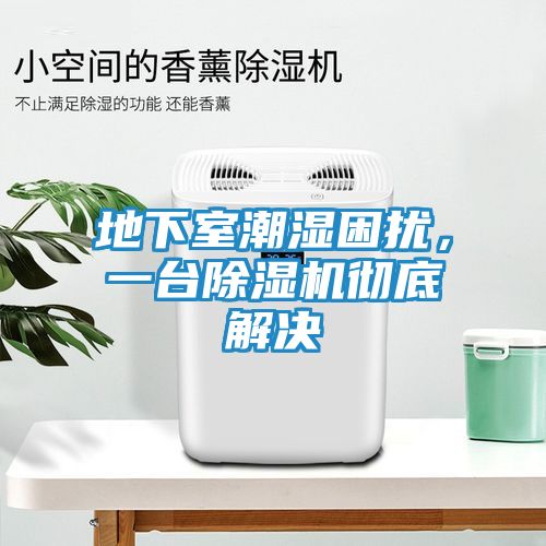 地下室潮湿困扰，一台除湿机彻底解决