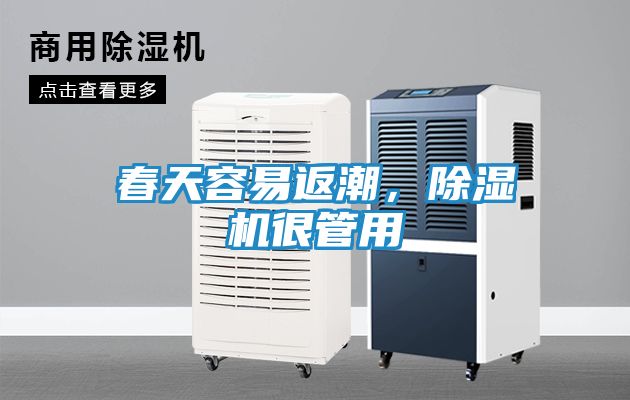 春天容易返潮，除湿机很管用