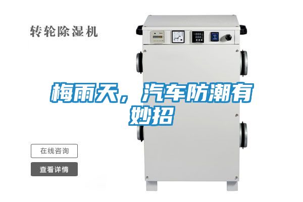 梅雨天,汽车防潮有妙招