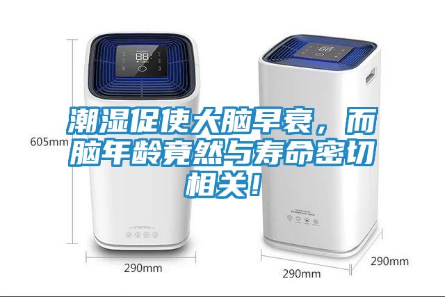 潮湿促使大脑早衰，而脑年龄竟然与寿命密切相关！