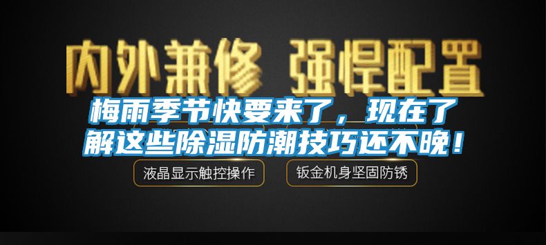 梅雨季节快要来了,现在了解这些除湿防潮技巧还不晚!
