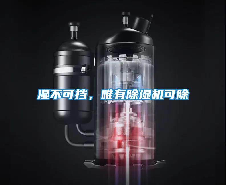 湿不可挡,唯有除湿机可除