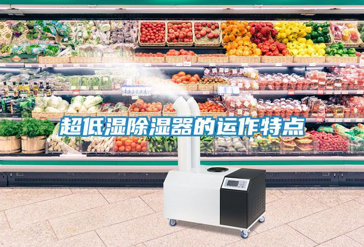 超低湿除湿器的运作特点