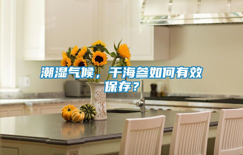潮湿气候，干海参如何有效保存？