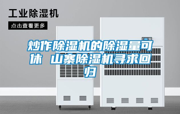 炒作除湿机的除湿量可休 山寨除湿机寻求回归