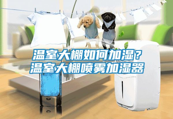 温室大棚如何加湿？温室大棚喷雾加湿器