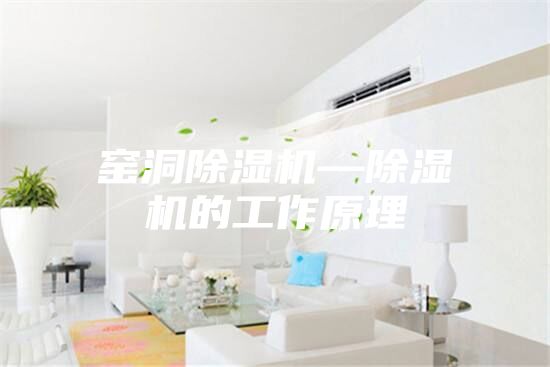 窑洞除湿机—除湿机的工作原理