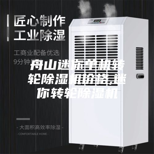 舟山迷你单机转轮除湿机价格,迷你转轮除湿机