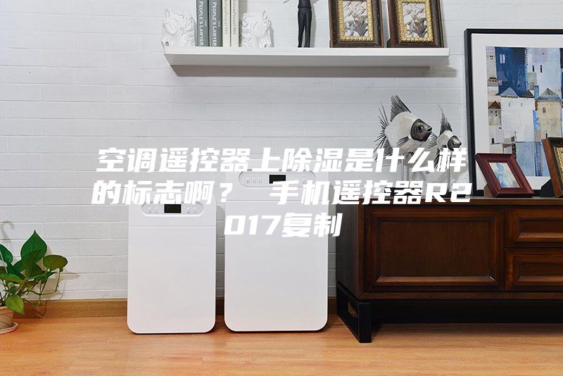 空调遥控器上除湿是什么样的标志啊？ 手机遥控器R2017复制