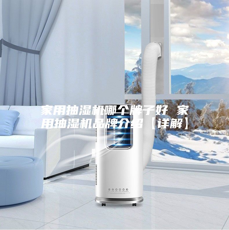 家用抽湿机哪个牌子好 家用抽湿机品牌介绍【详解】