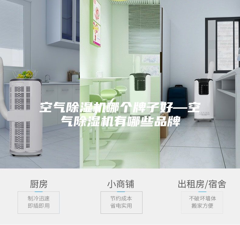 空气除湿机哪个牌子好—空气除湿机有哪些品牌
